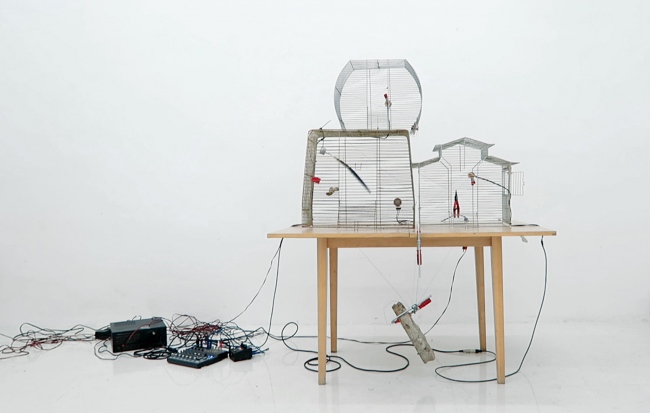 Jaula nerviosa modified birdcages, table, strings, piezos, transducer, amp, motor and macaw feather.Rub&amp;eacute;n D&amp;acute;Hers, 2016